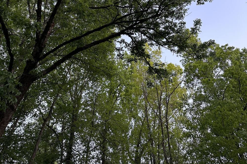 Photo of Outdoor in Rocky Bottom