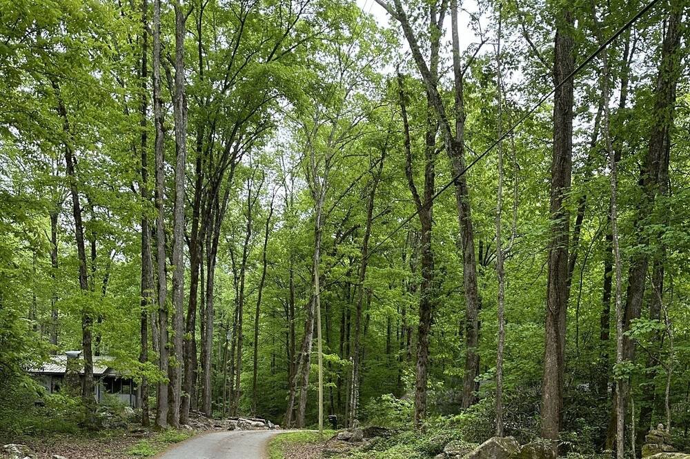 Photo of Outdoor in Rocky Bottom