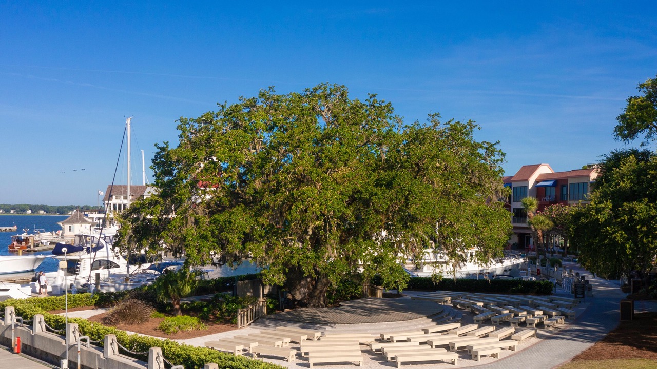 Photo of Others in Beach Lagoon