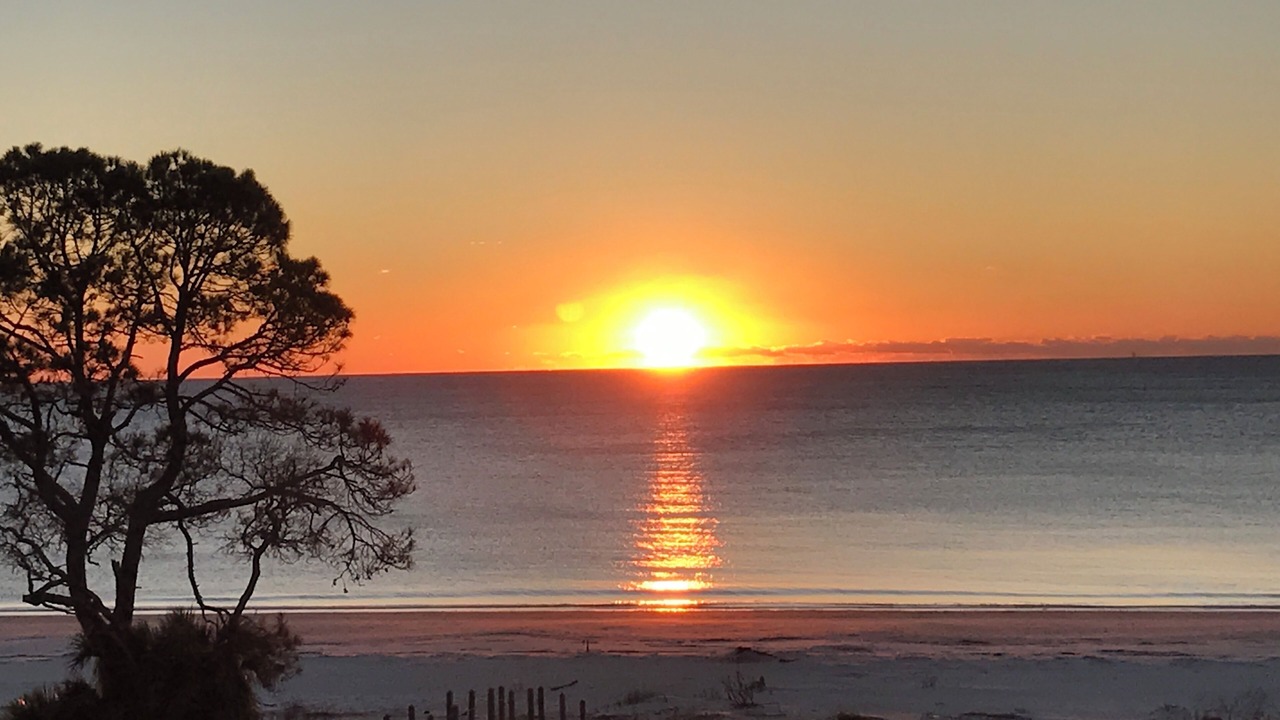 Photo of Others in Daufuskie Island