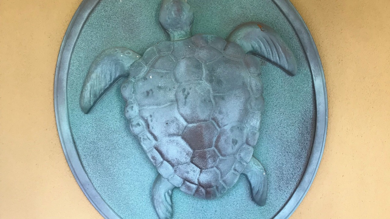 Photo of Others in Daufuskie Island