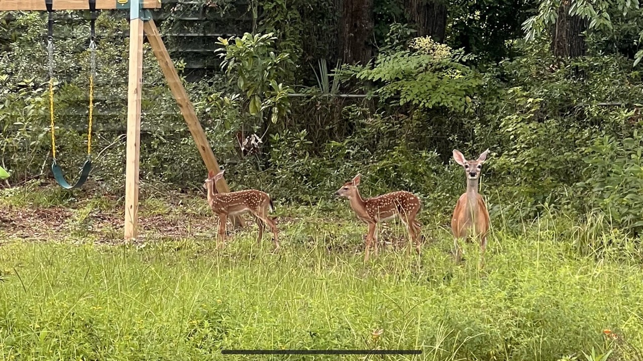 Photo of Outdoor in Beaufort
