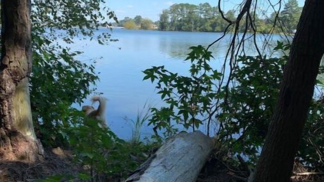 Photo of Outdoor in Leesville