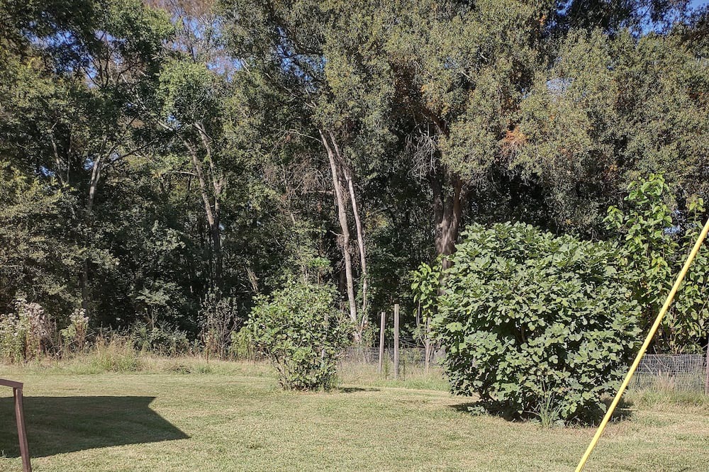 Photo of Outdoor in Batesburg