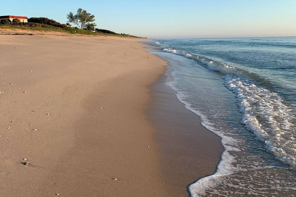 Photo of Others in Melbourne Beach