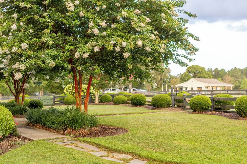 Photo of Outdoor in Aiken