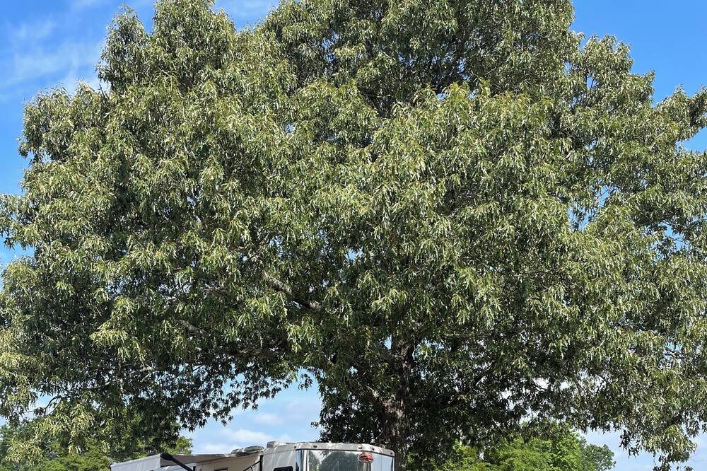 Photo of Outdoor in Aiken