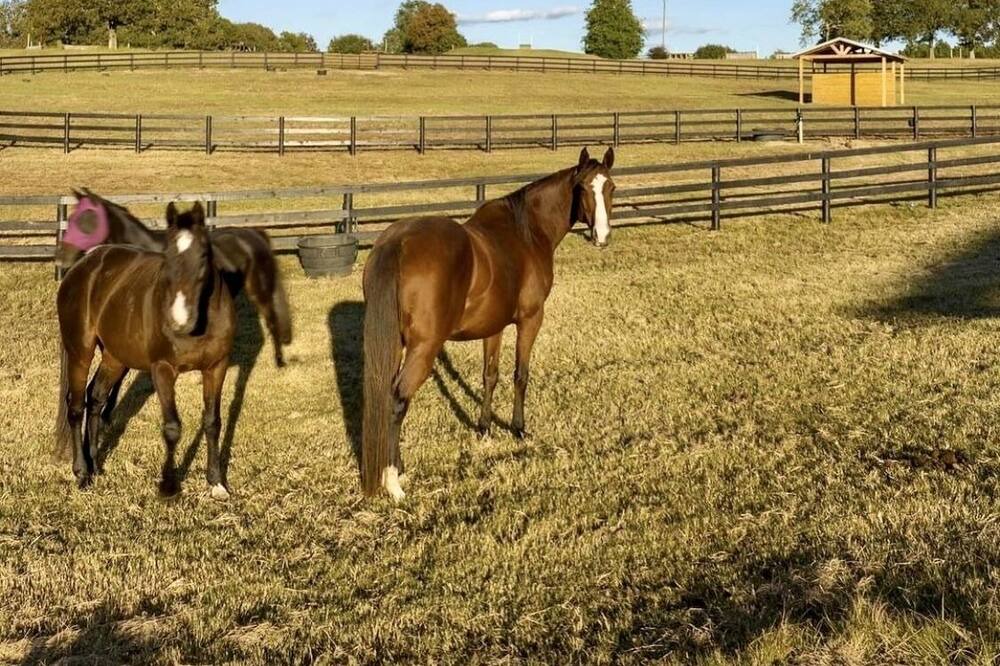 Photo of Others in Aiken