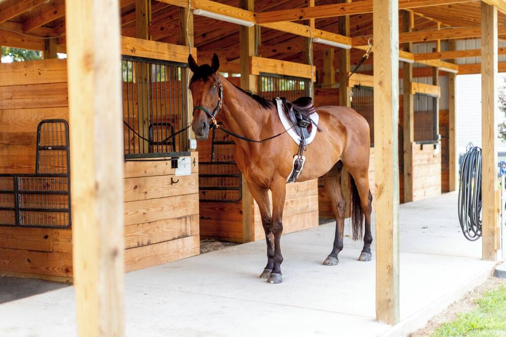 Photo of Outdoor in Aiken