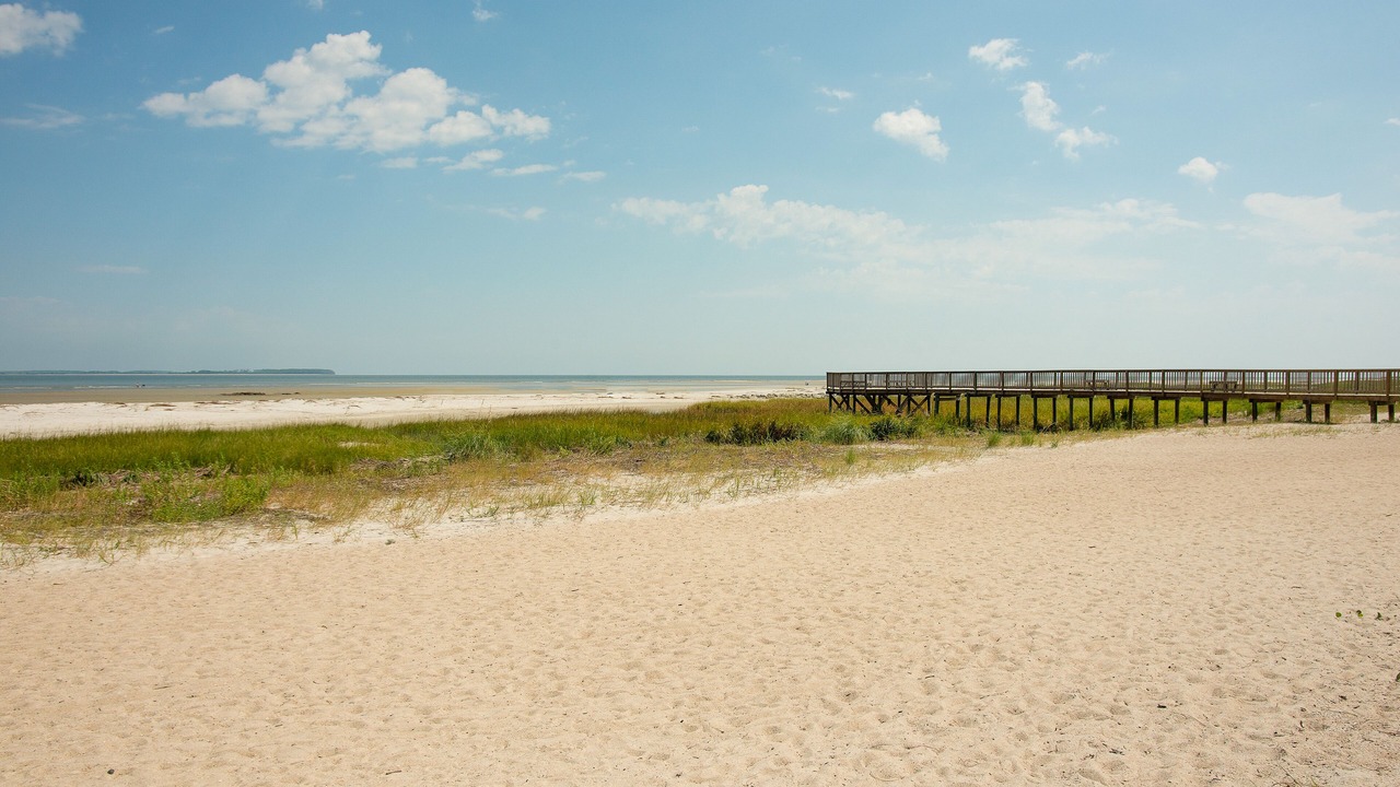 Photo of Others in Palmetto Dunes