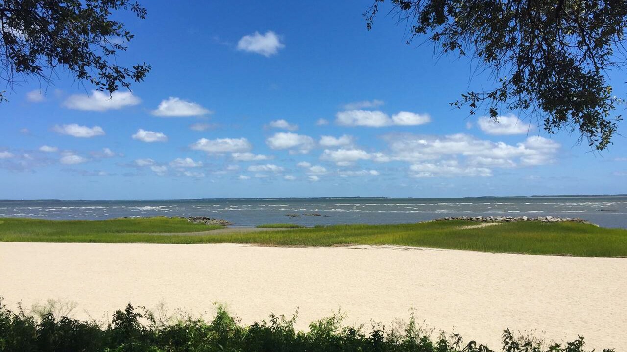 Photo of Others in Palmetto Dunes