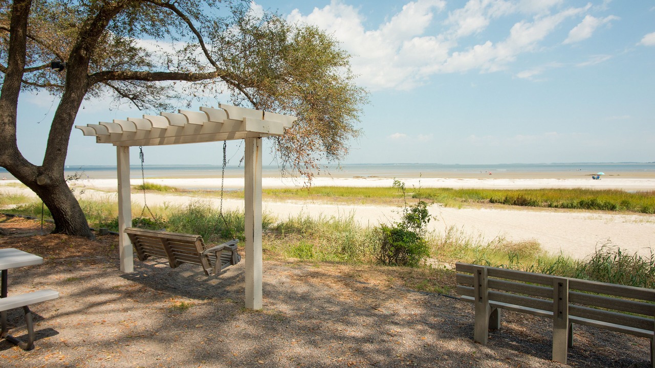 Photo of Outdoor in Palmetto Dunes