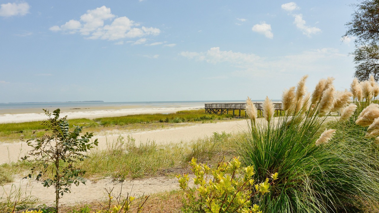 Photo of Others in Palmetto Dunes