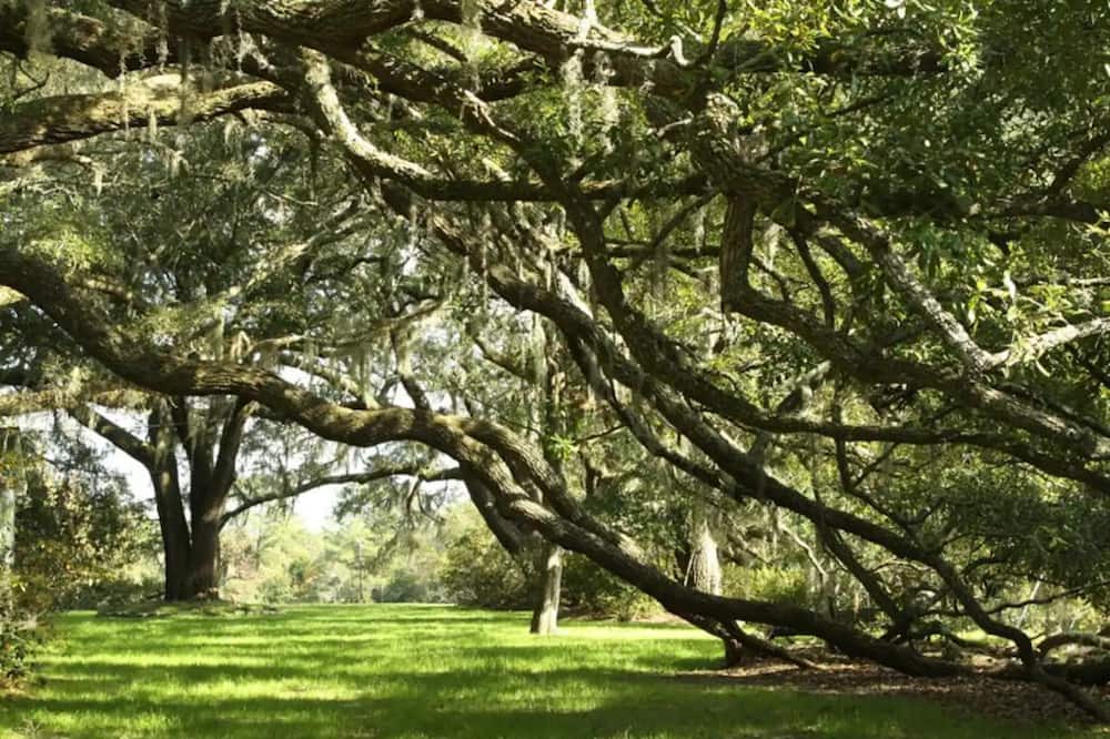 Photo of Outdoor in Johns Island
