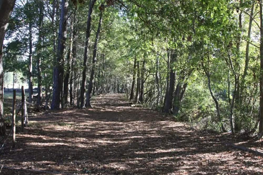 Photo of Outdoor in Johns Island