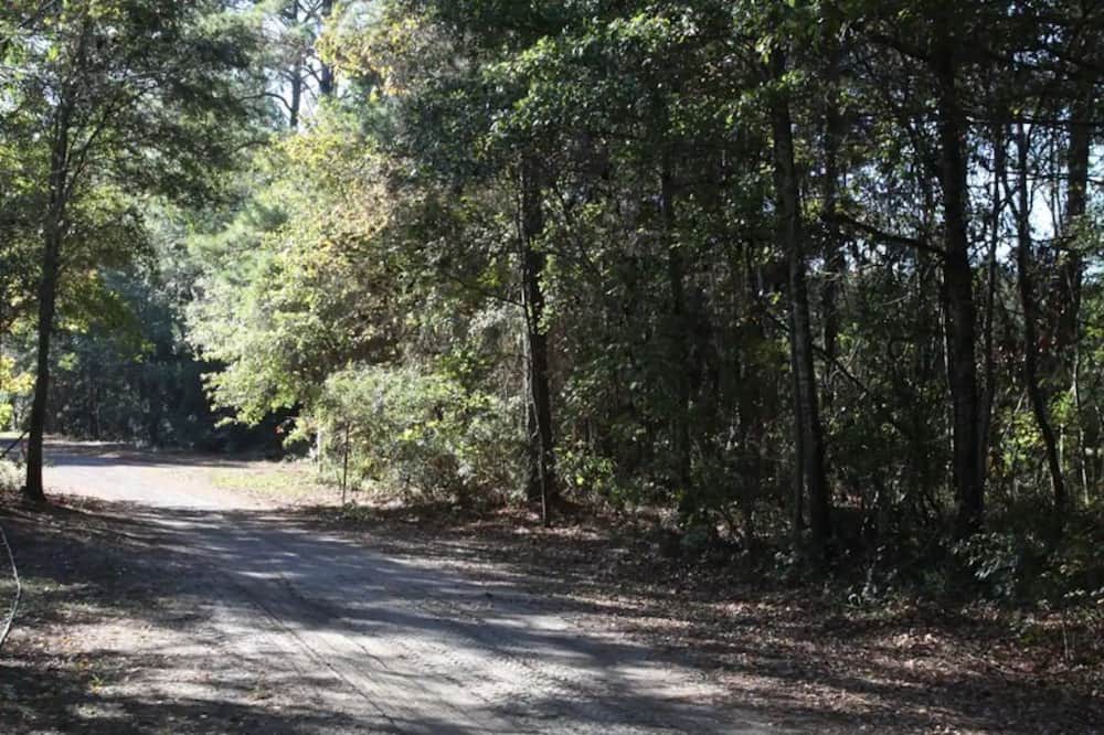 Photo of Outdoor in Johns Island