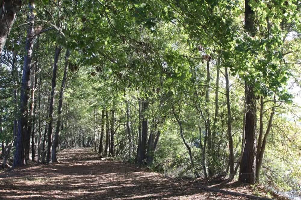 Photo of Outdoor in Johns Island
