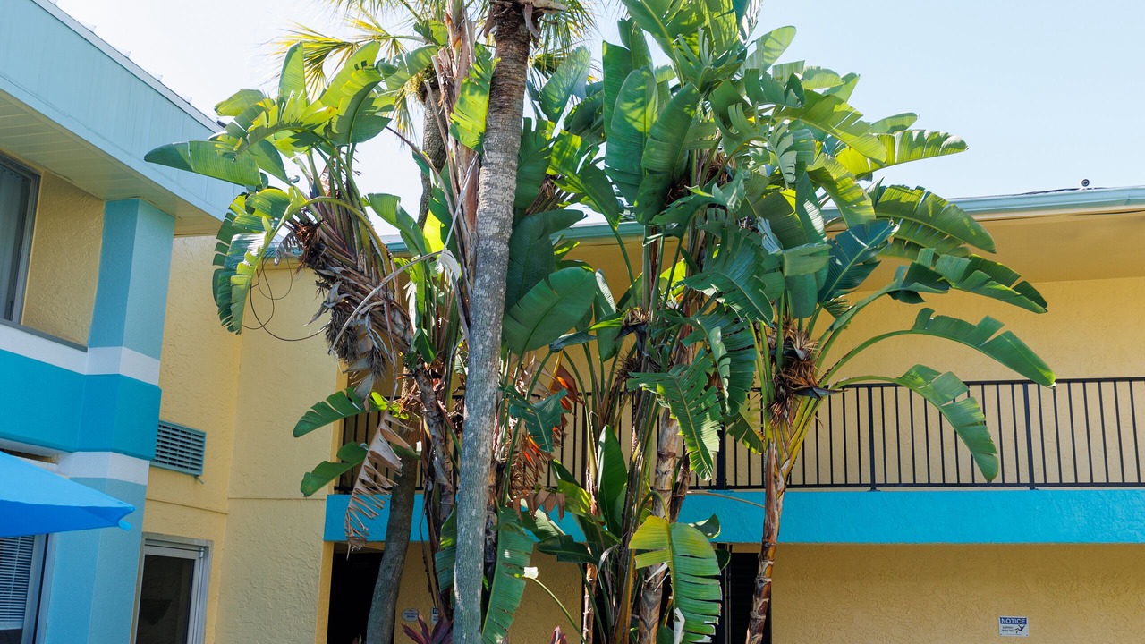 Photo of Outdoor in Orlando