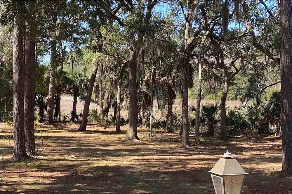 Photo of Outdoor in Melrose on the Beach