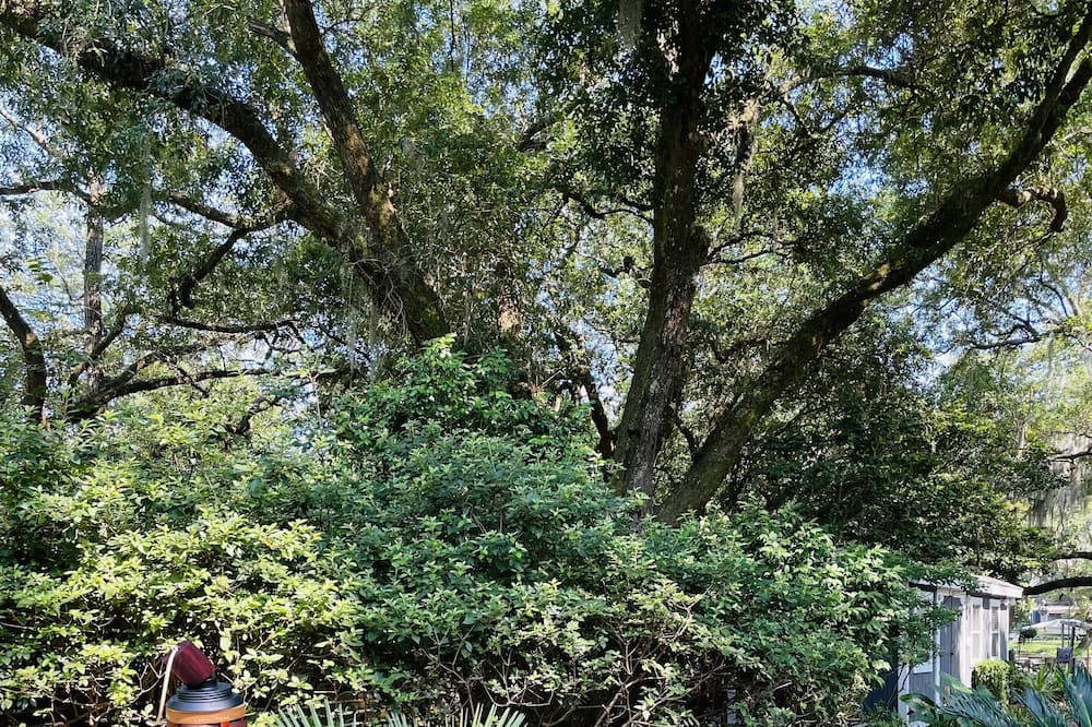 Photo of Others in Johns Island
