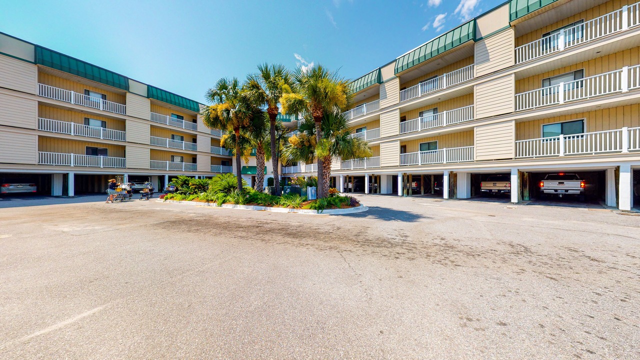 Photo of Outdoor in Edisto Island
