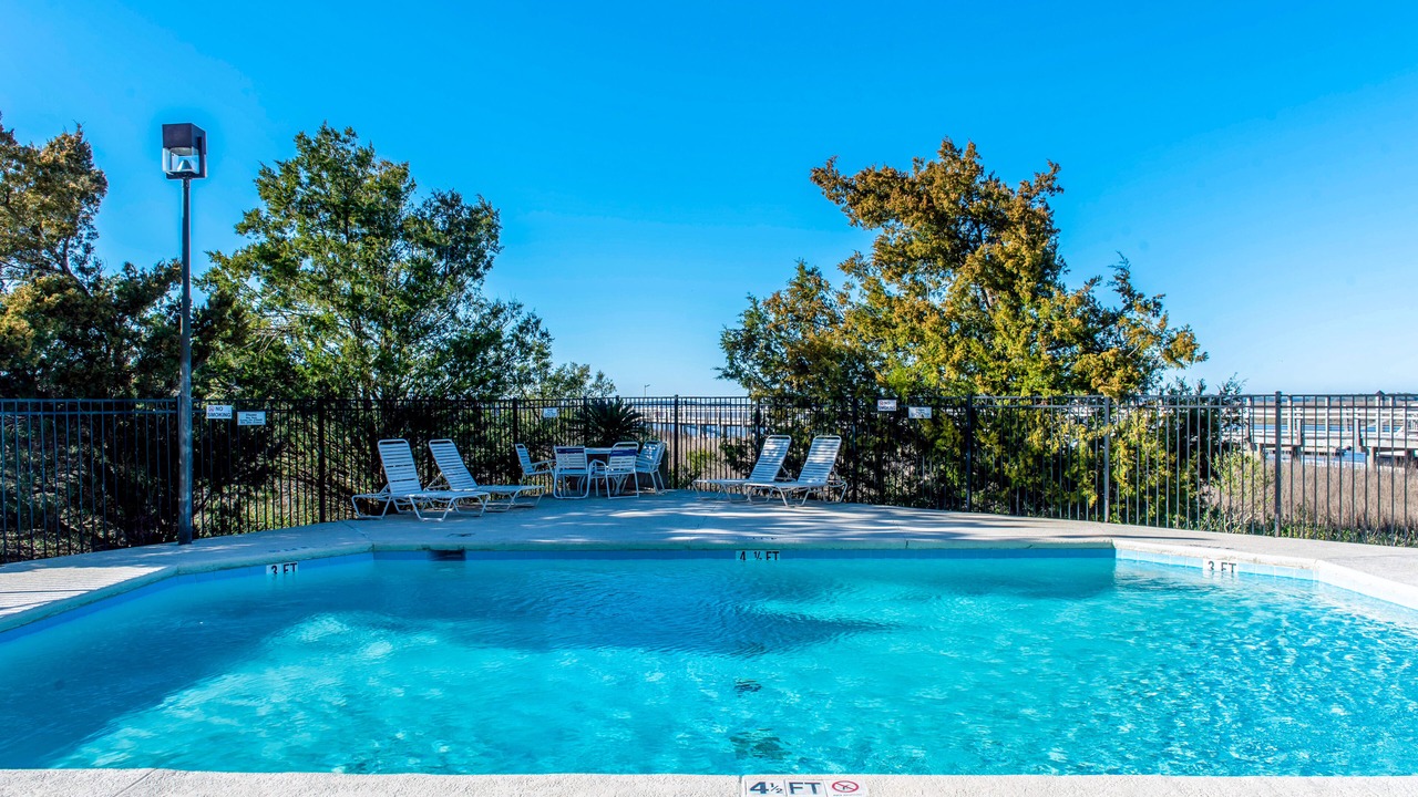 Photo of Outdoor in Edisto Island