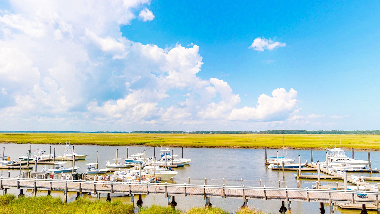 Photo of Others in Edisto Island