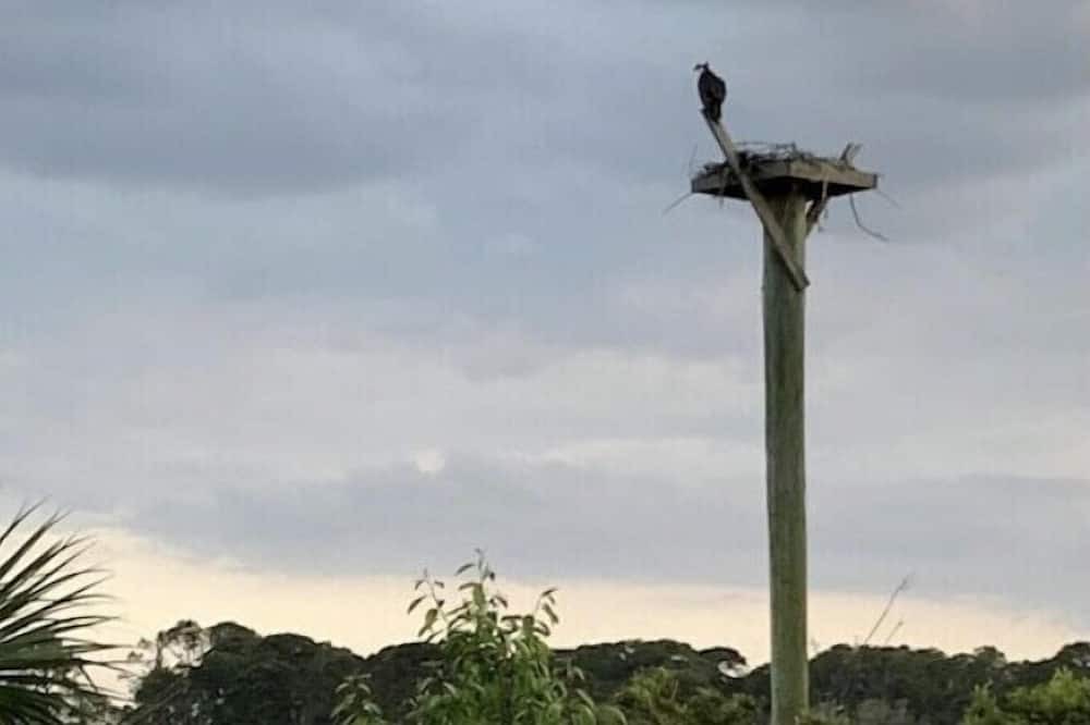 Photo of Others in Oceanmarsh Subdivision