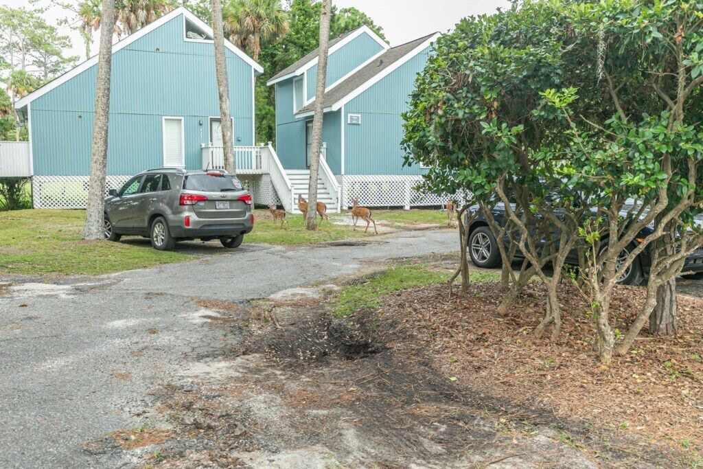 Photo of Outdoor in Ocean Ridge