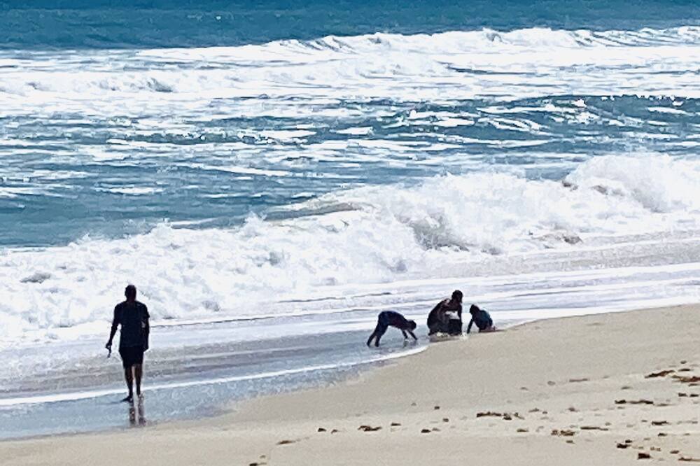Photo of Others in Melbourne Beach