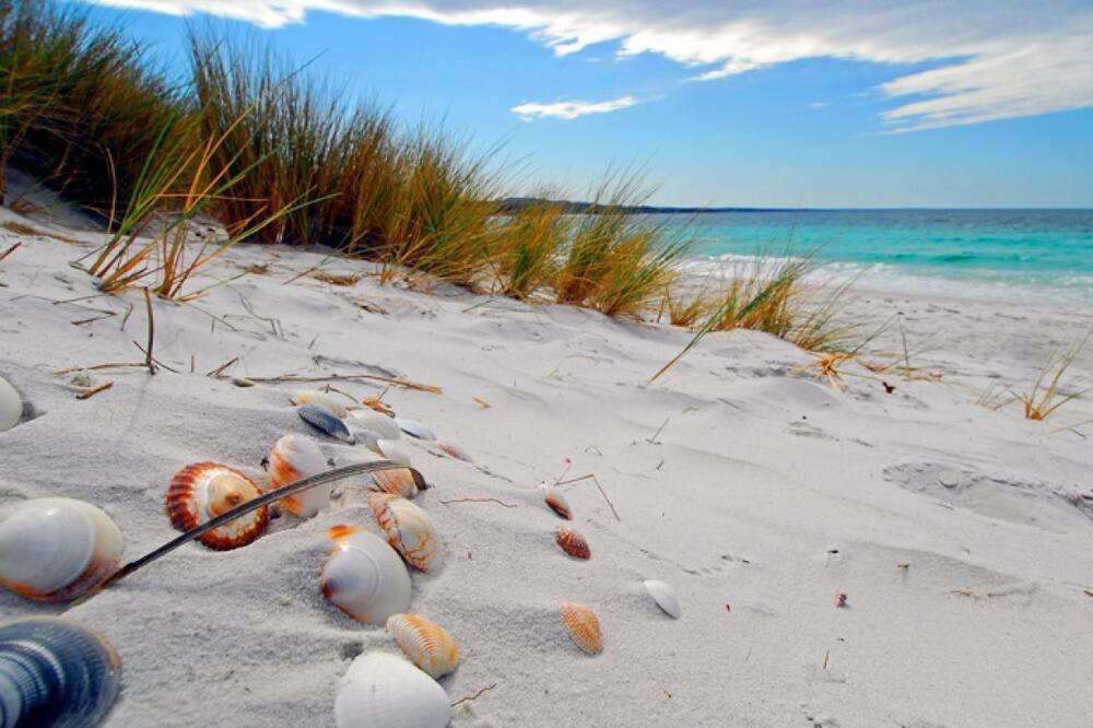 Photo of Outdoor in St. Pete Beach