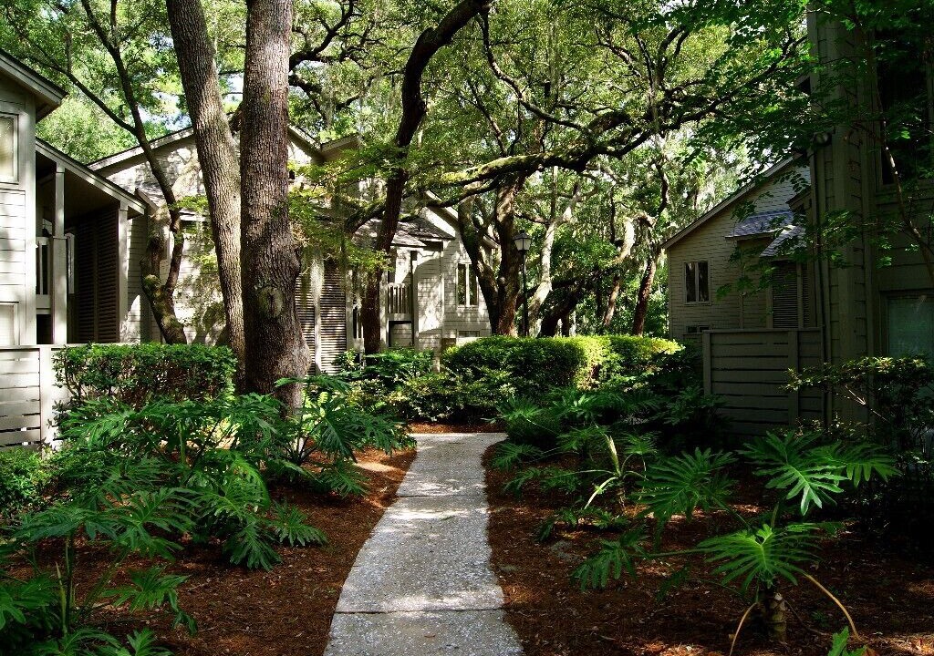 Photo of Outdoor in Palmetto Dunes