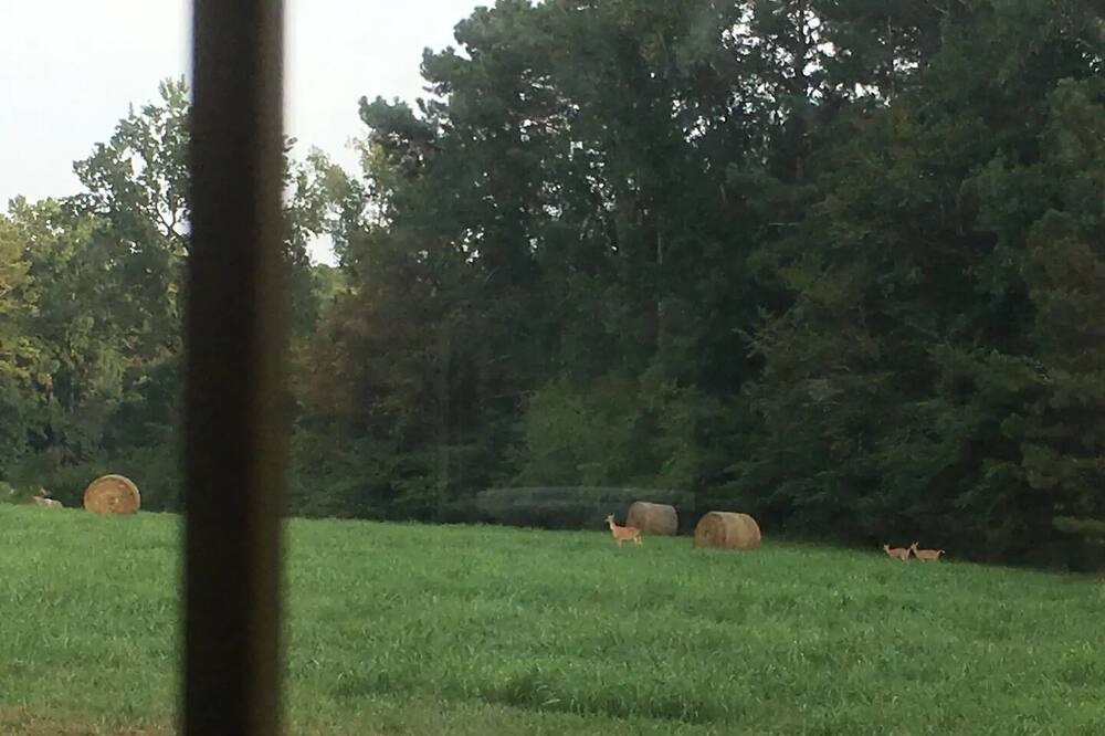 Photo of Others in Lexington