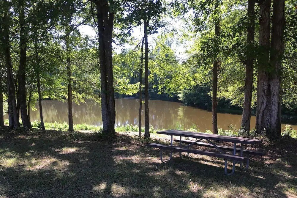 Photo of Others in Lexington