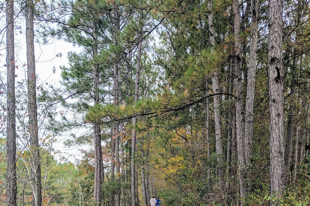 Photo of Others in Eden