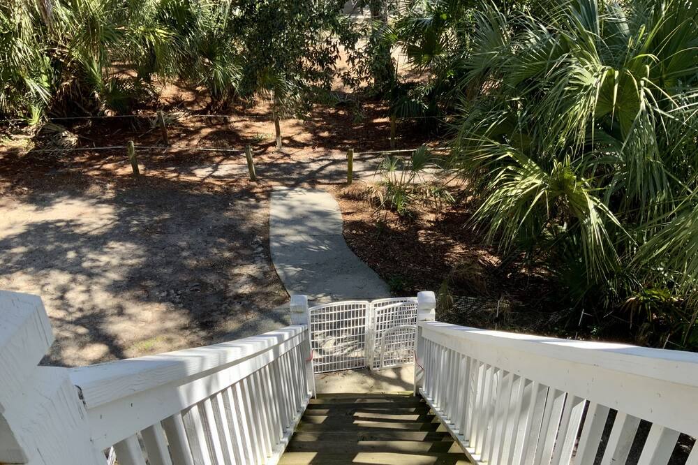 Photo of Others in Saint Helena Island
