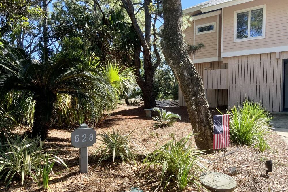 Photo of Others in Saint Helena Island