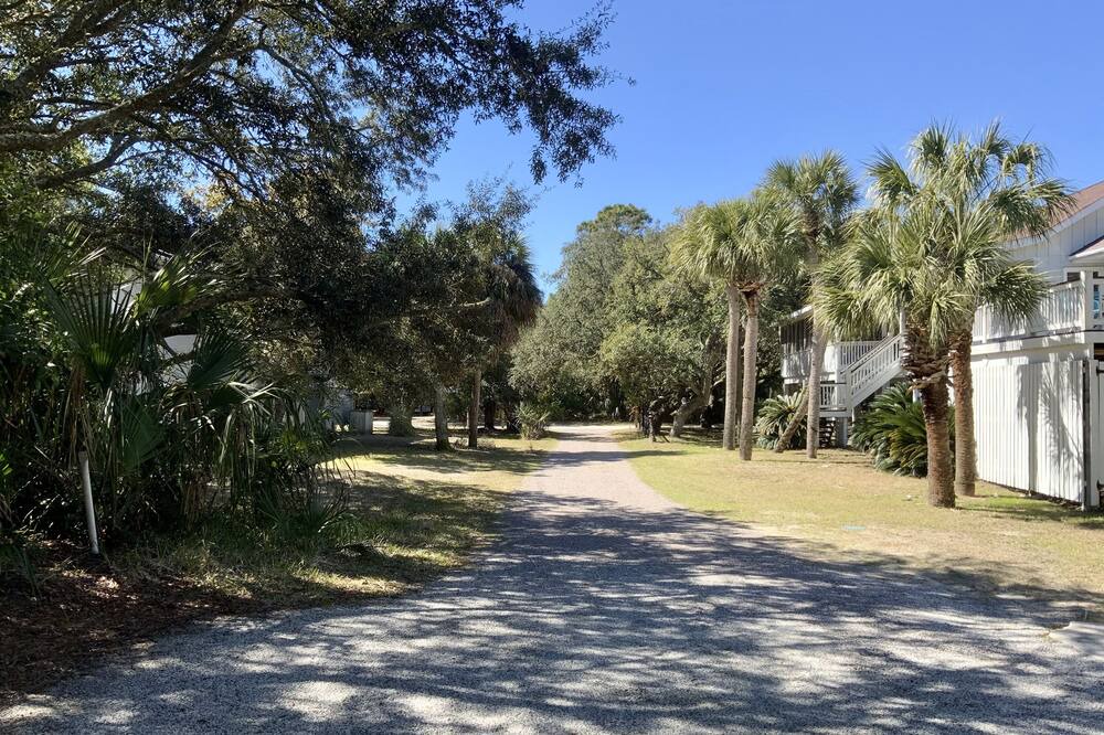 Photo of Others in Saint Helena Island