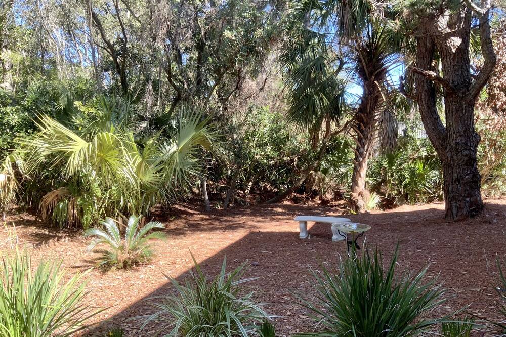 Photo of Others in Saint Helena Island