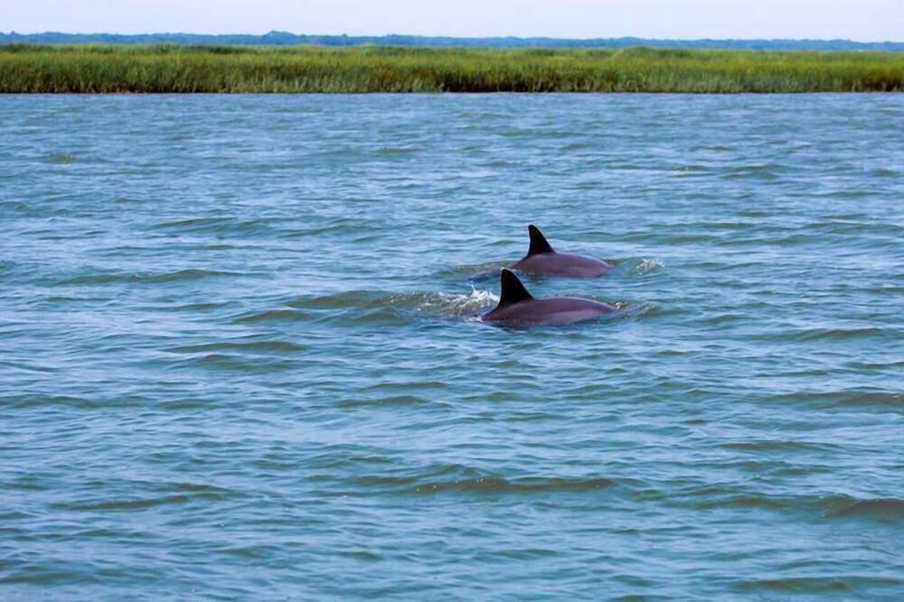 Photo of Outdoor in Saint Helena Island