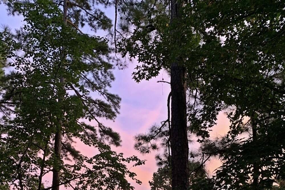 Photo of Outdoor in Leesville