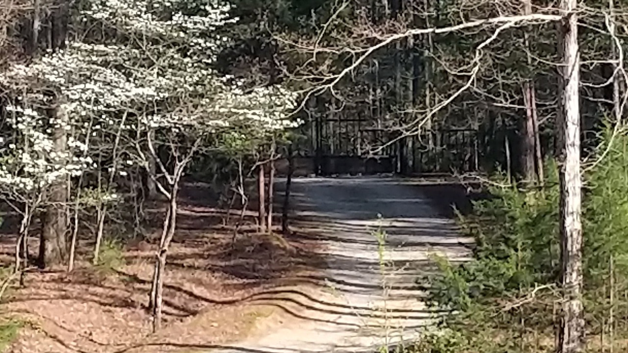 Photo of Outdoor in Appling