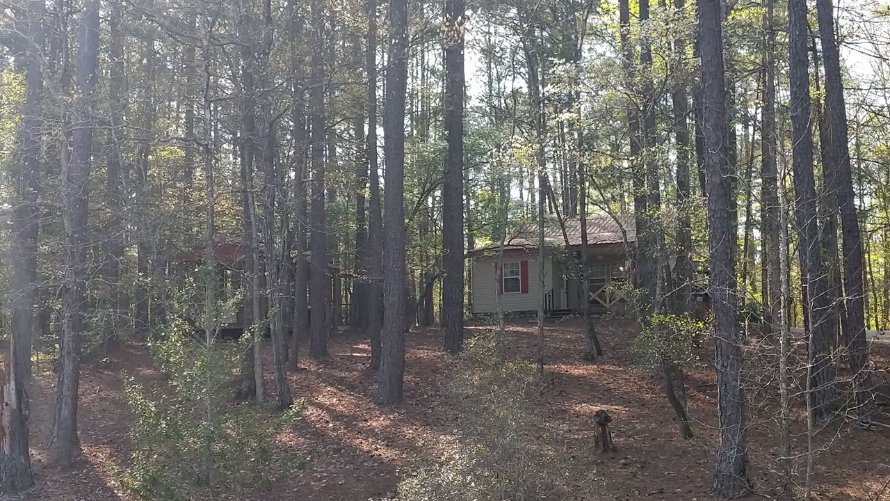 Photo of Outdoor in Appling