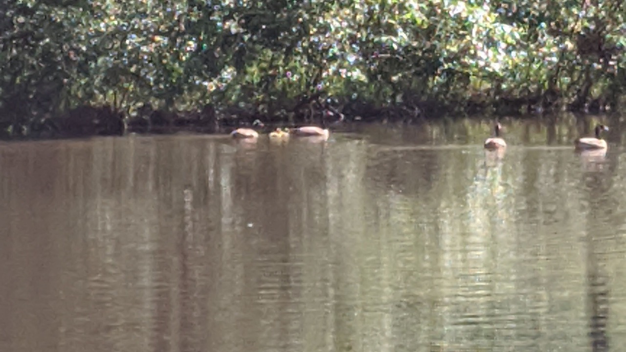 Photo of Outdoor in Appling