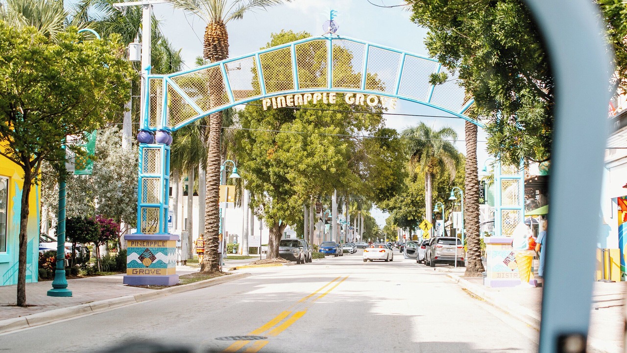 Photo of Others in Pineapple Grove Arts District