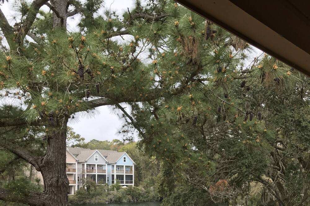 Photo of Patio Balcony in Folly Field