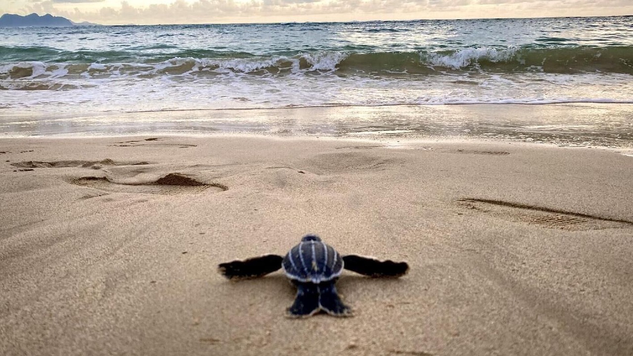 Photo of Others in Bonito Boathouses