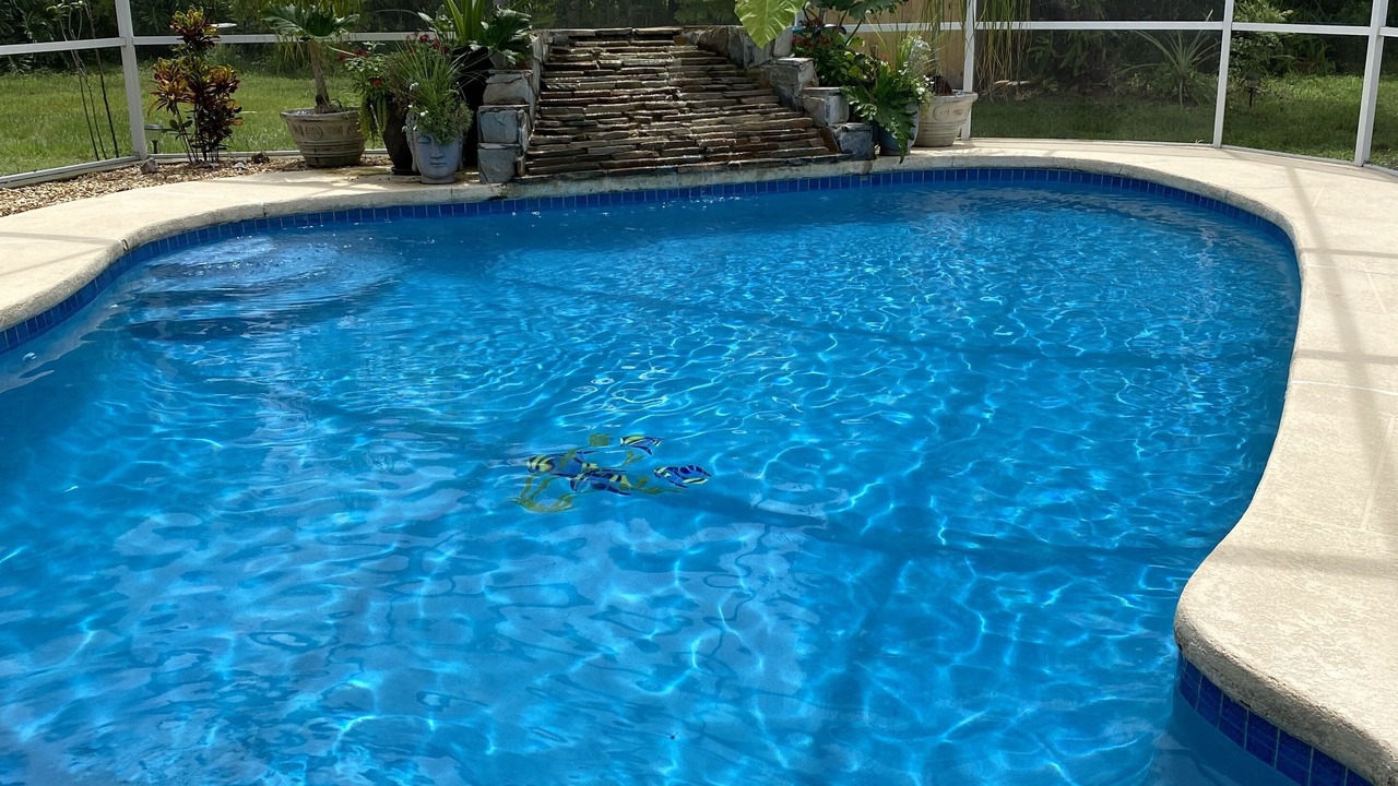 Photo of Outdoor in Land O' Lakes