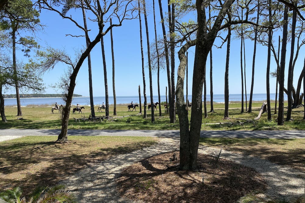 Photo of Outdoor in Melrose on the Beach
