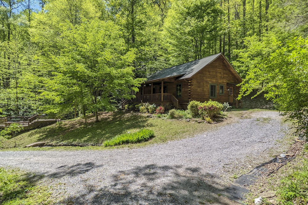 Photo of Others in Rosman